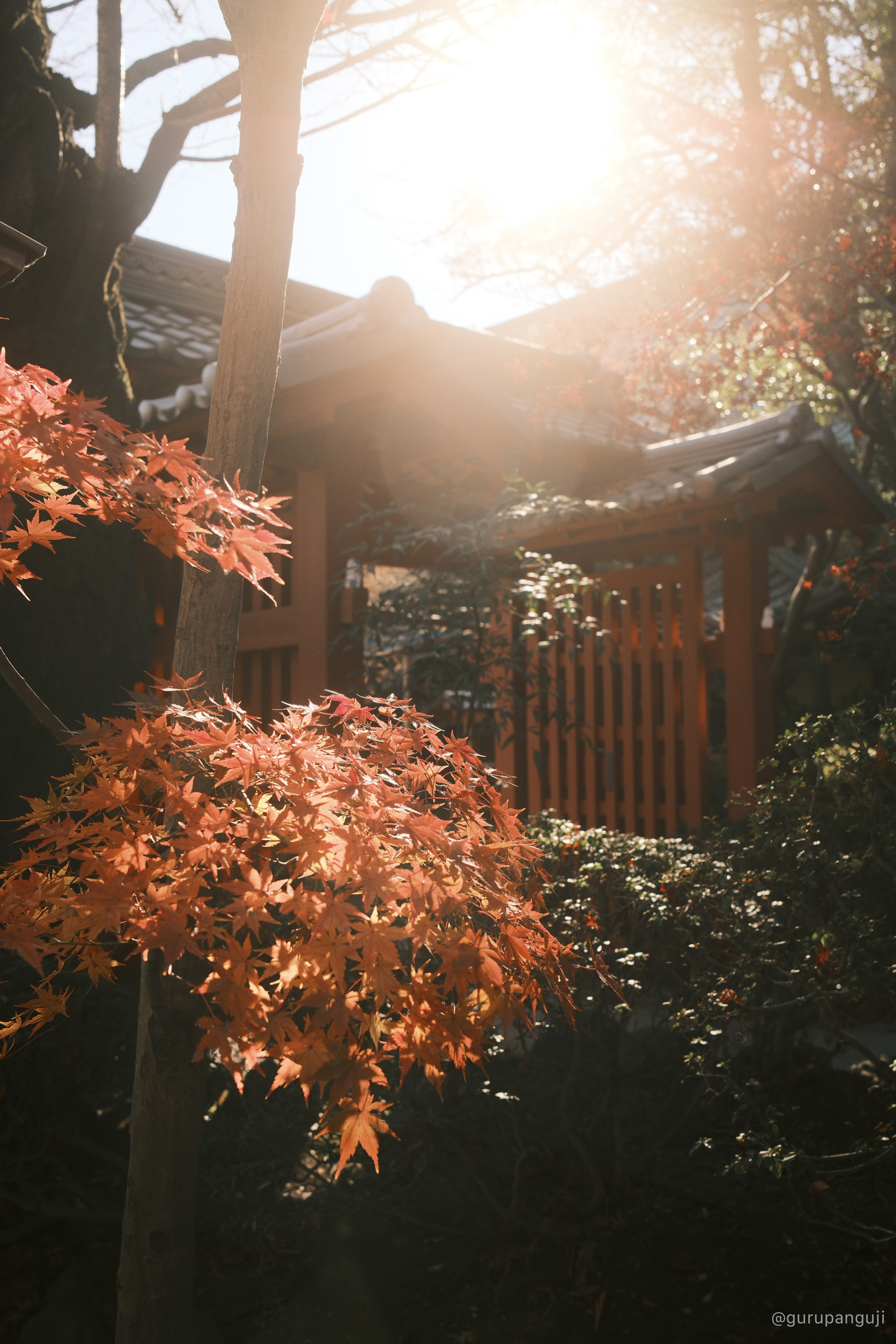 Japanese-inspired Fujifilm in-camera look example