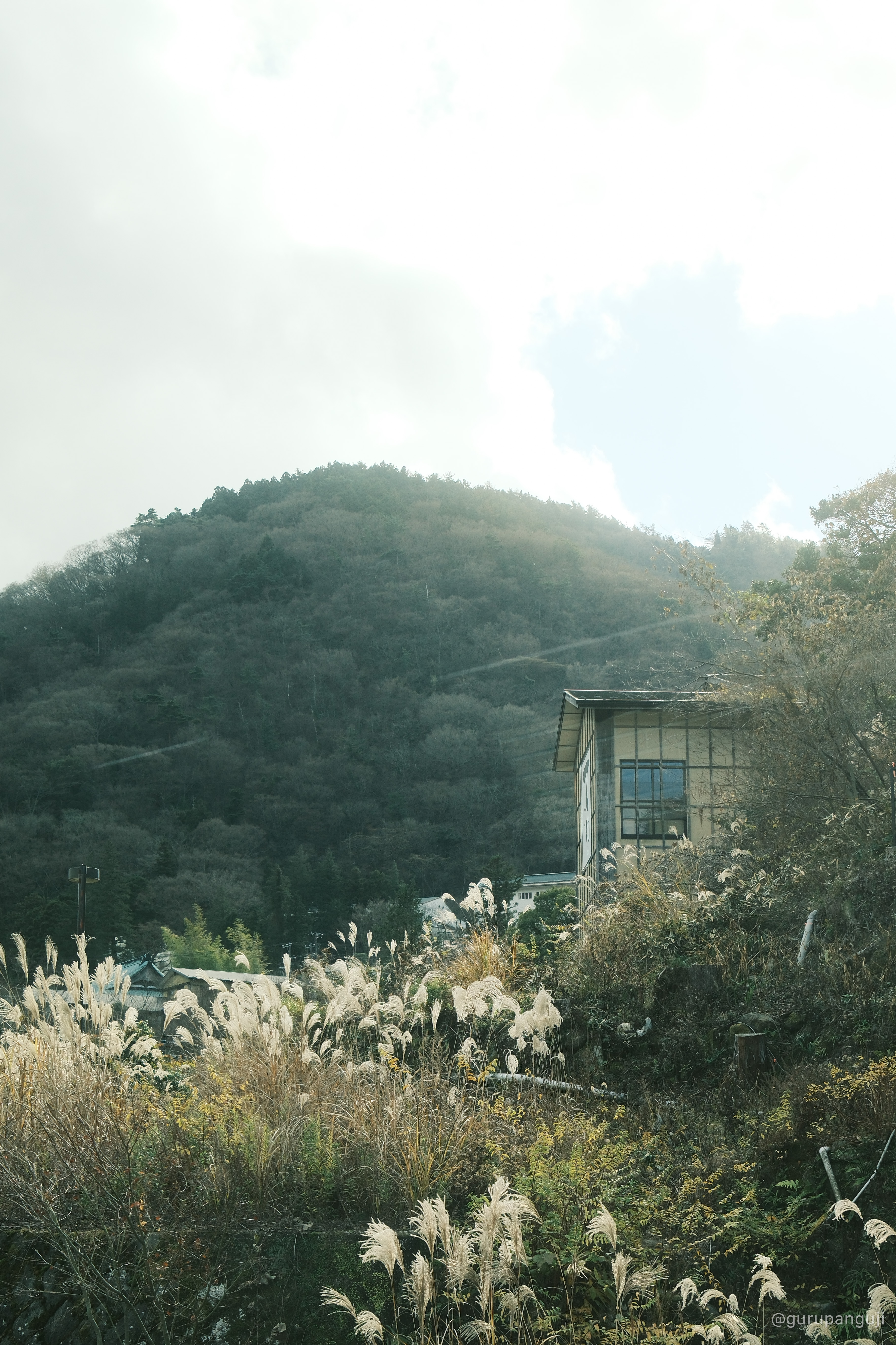 Portra-inspired Fujifilm in-camera look example