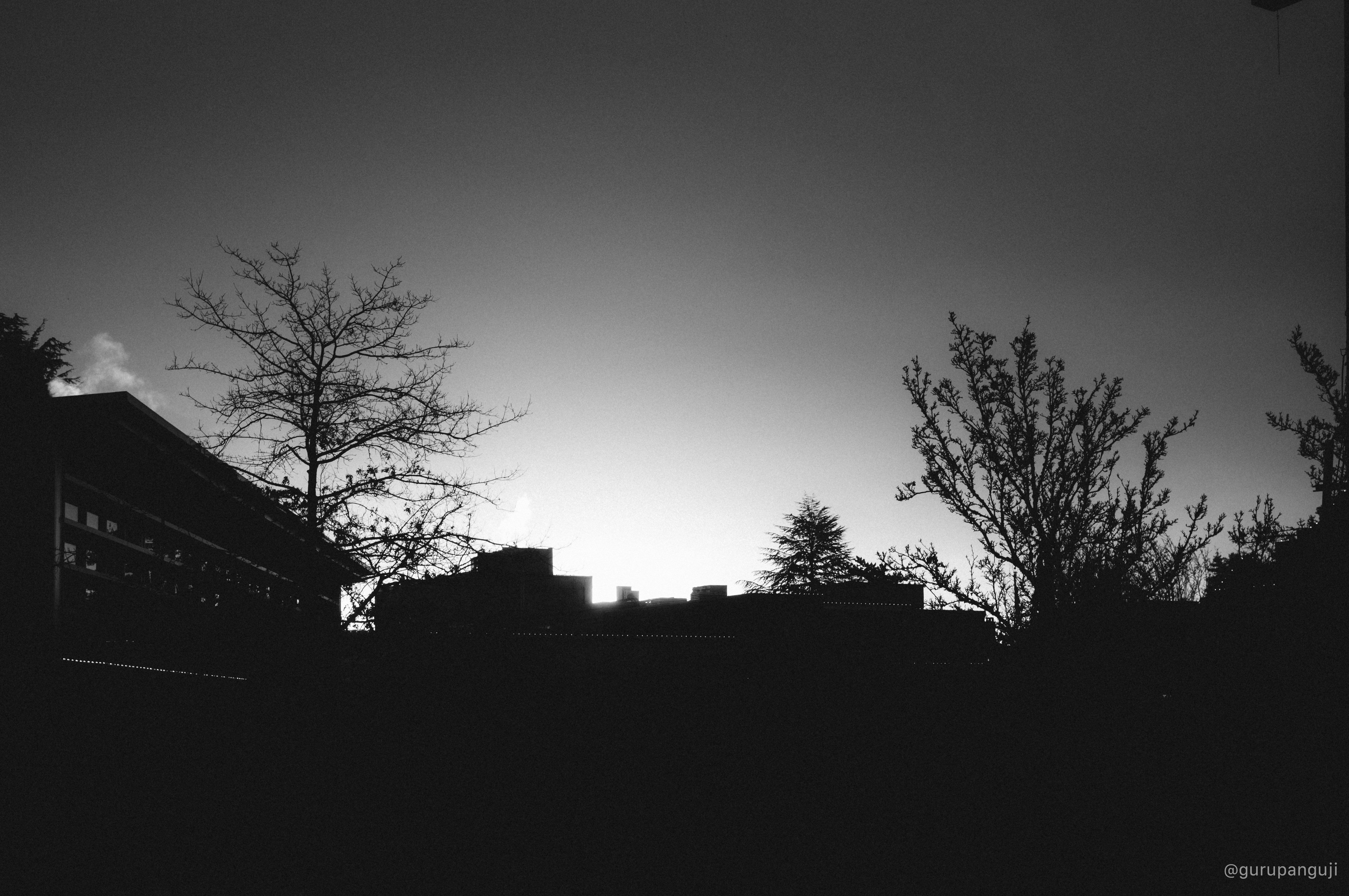 Silhouette of trees and rooftops against a bright sky
